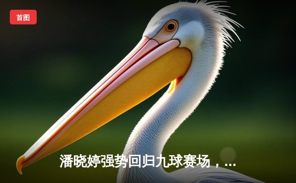 潘晓婷强势回归九球赛场，中国公开赛逆转夺冠创纪录